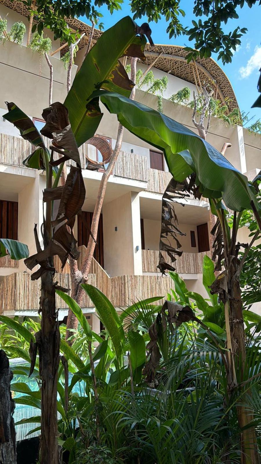Aparthotel Condohotel Tsonot, En Luum Zama